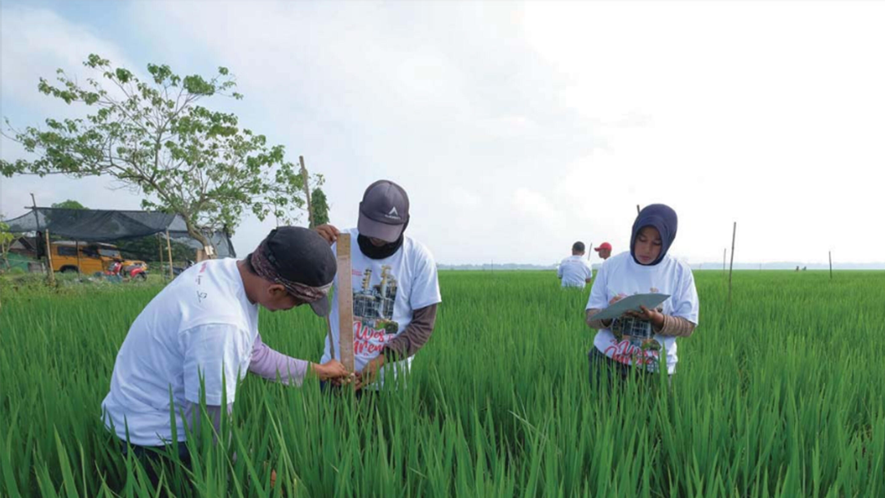 Support Indonesian farmers through education