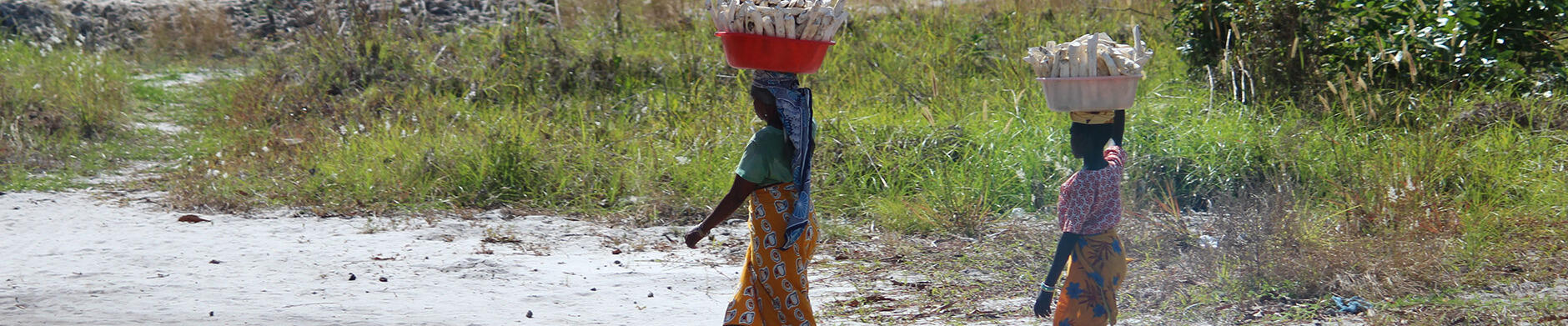 women walking through open land balancing baskets on their heads