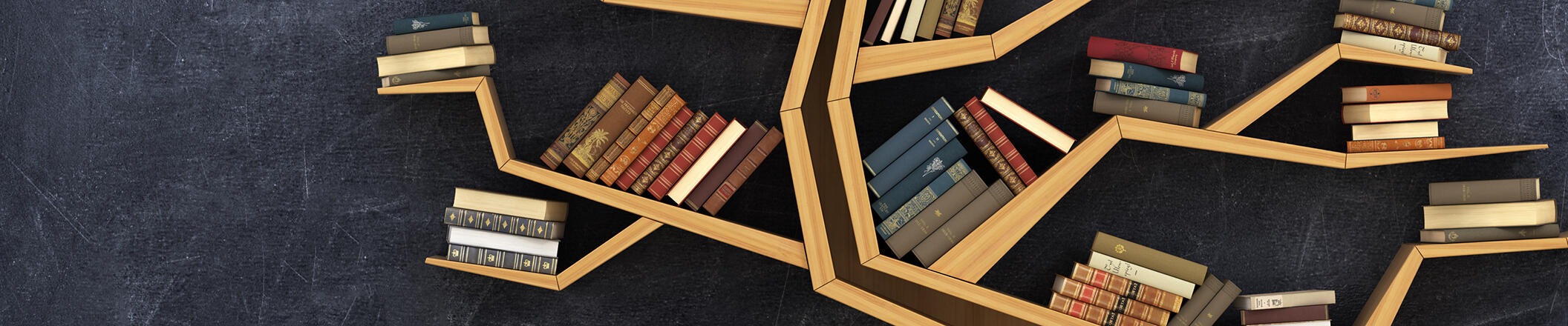 books on a geometric-shaped bookshelf