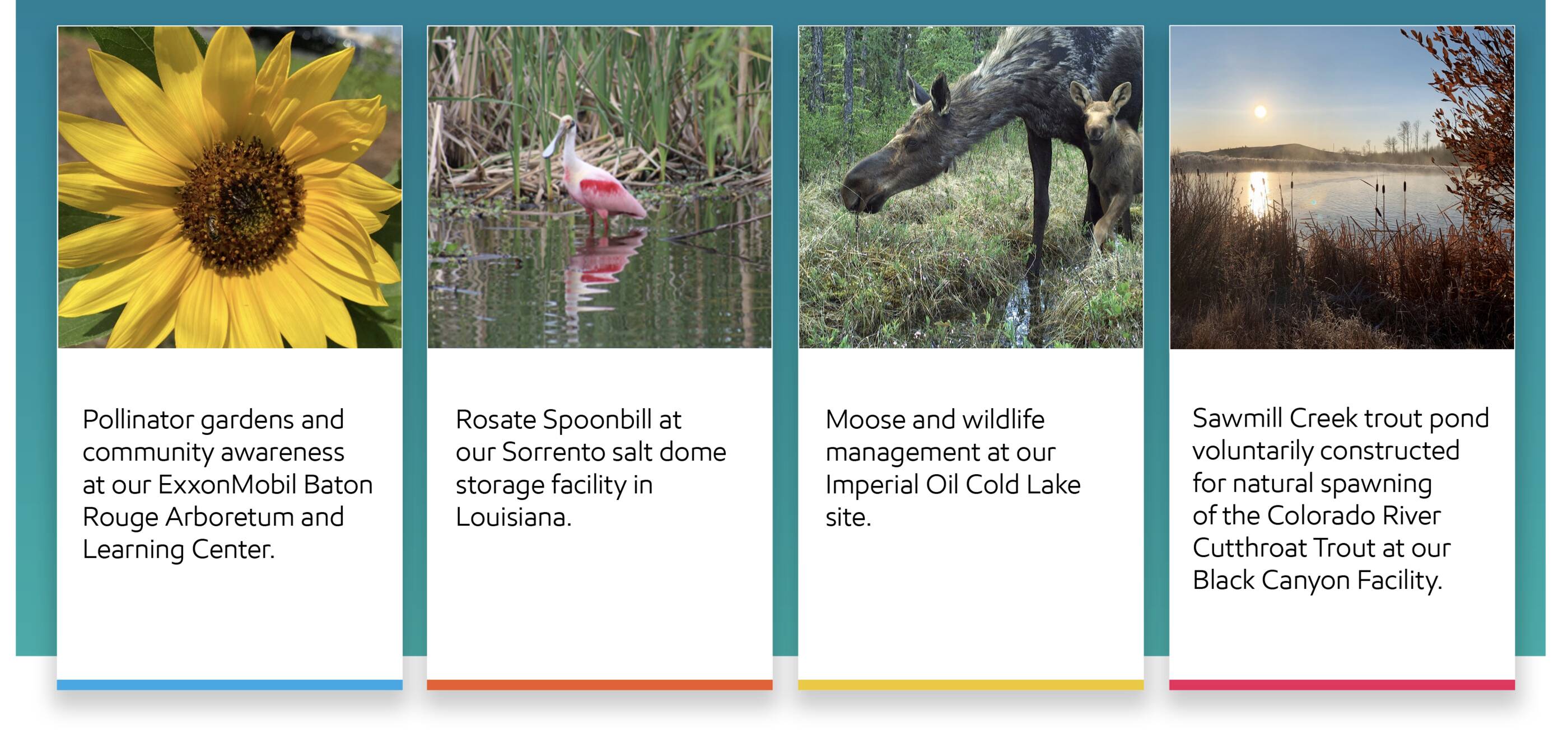 30  years of habitat conservation with the Wildlife Habitat Council