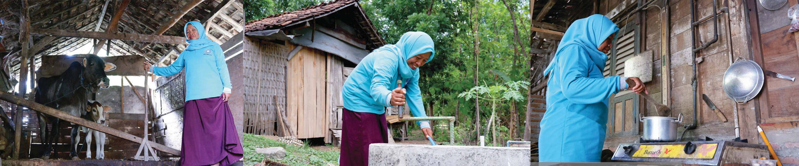 Transforming cow manure into homegrown energy in Indonesia