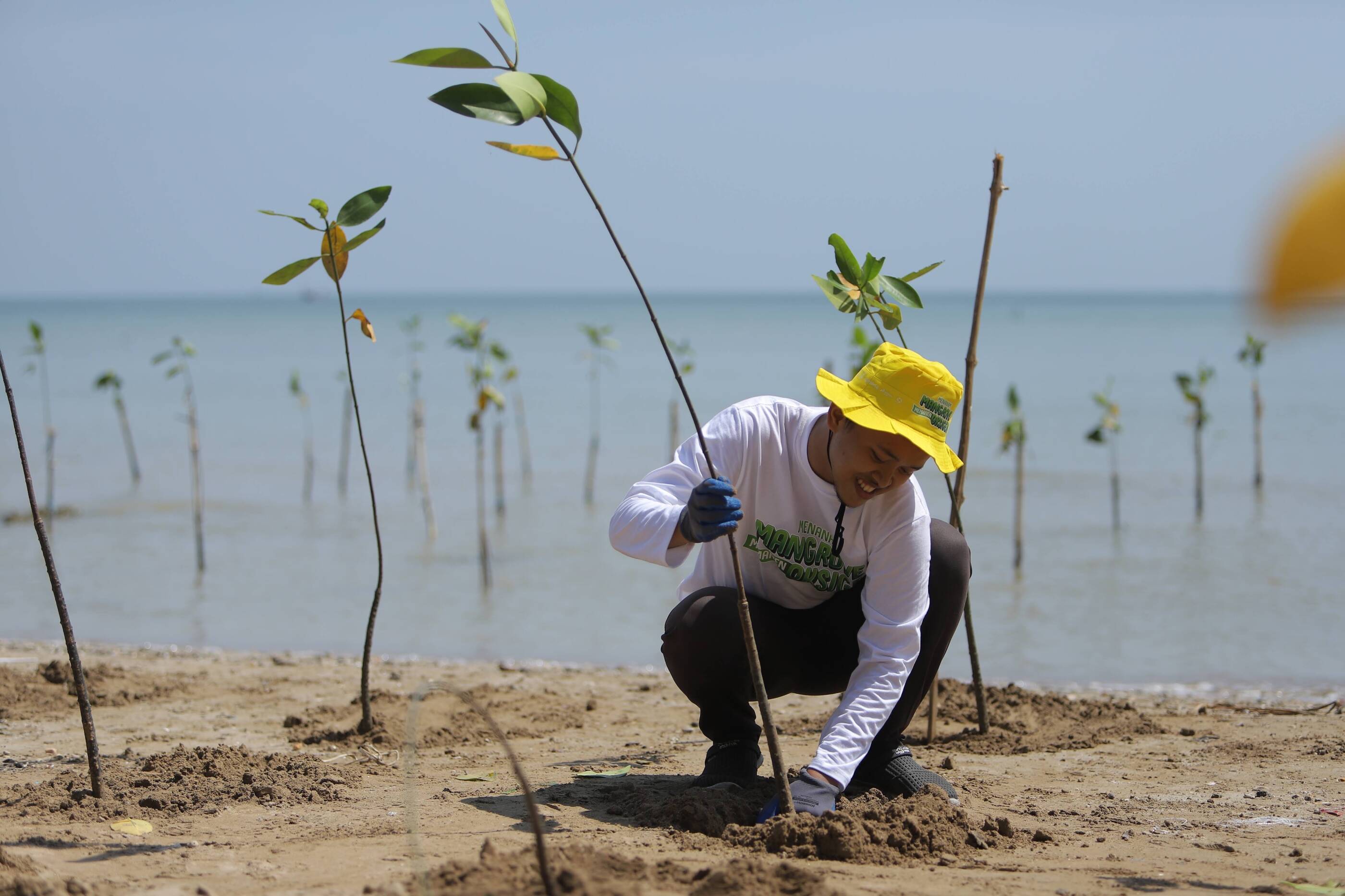 ExxonMobil volunteers in Indonesia are taking action to restore Java's coastline. 