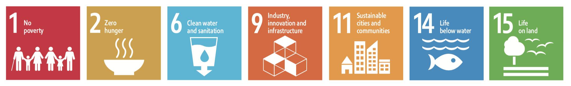 UN SDJ icons 1,2,6,9,11,14,15