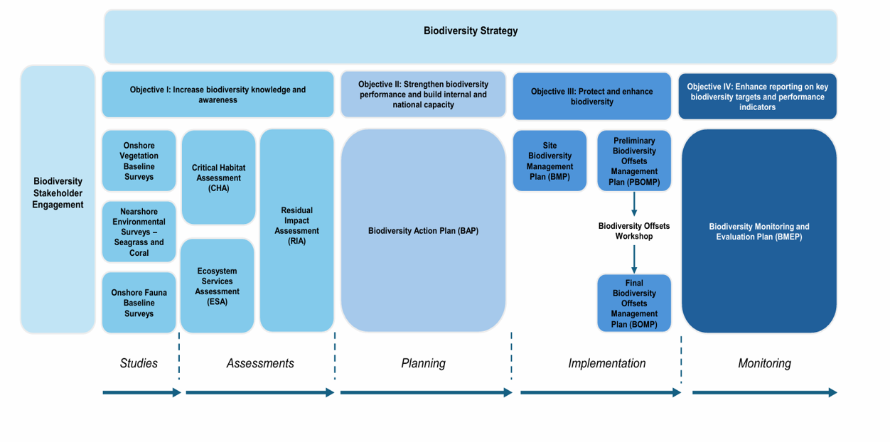 biodiversity strategy infographic