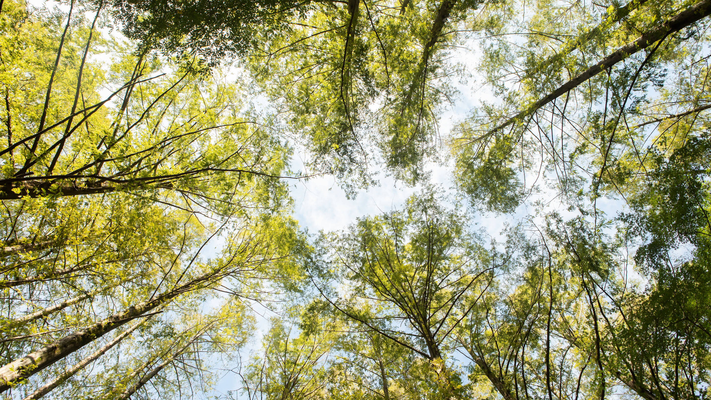 Our position on climate change policy and carbon pricing